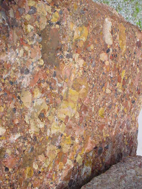 brecha arabida